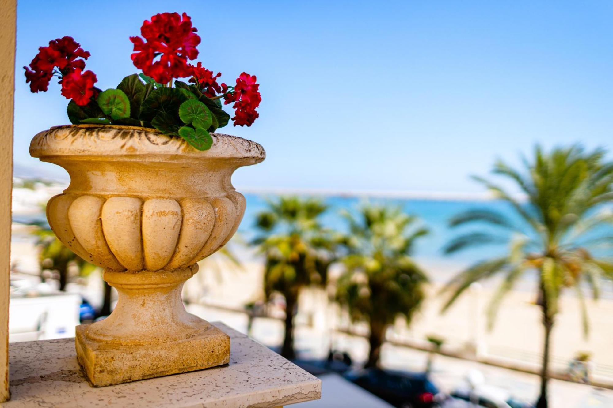Mare E Castello Daire Manfredonia Dış mekan fotoğraf